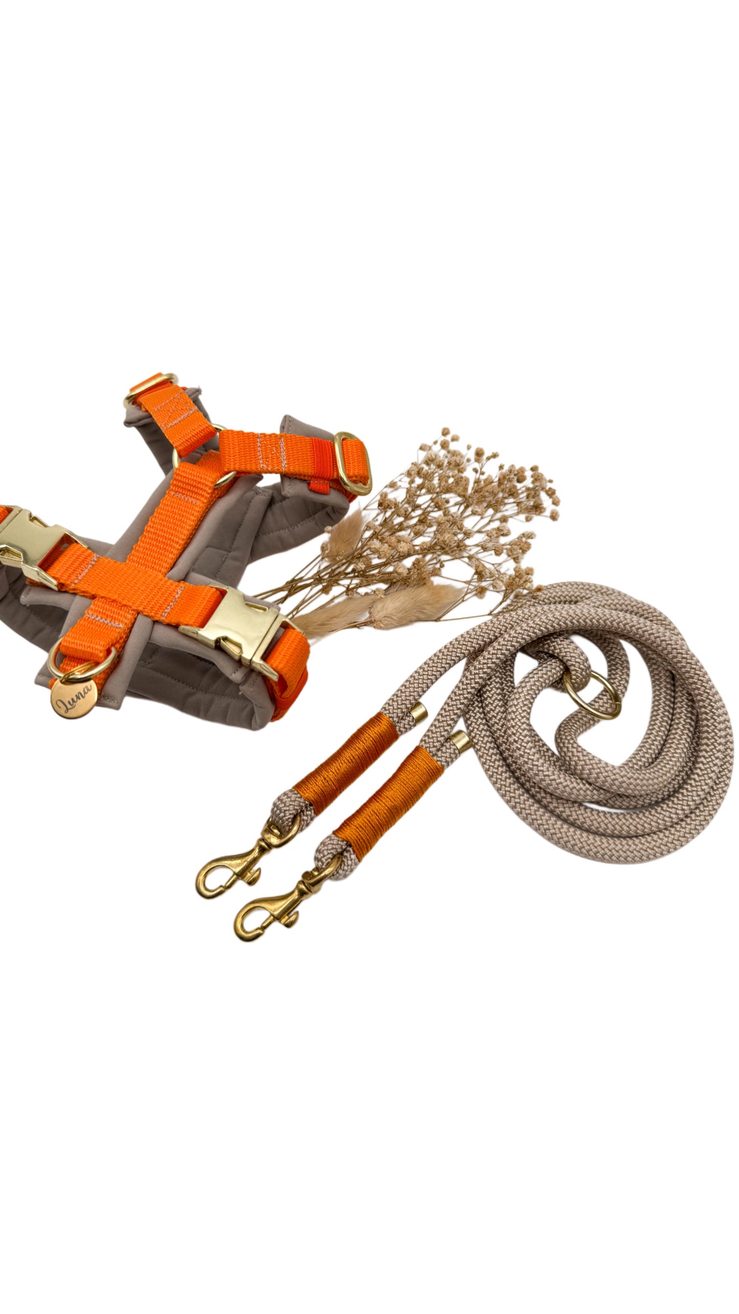 Brustgeschirr ORANGE BEIGE