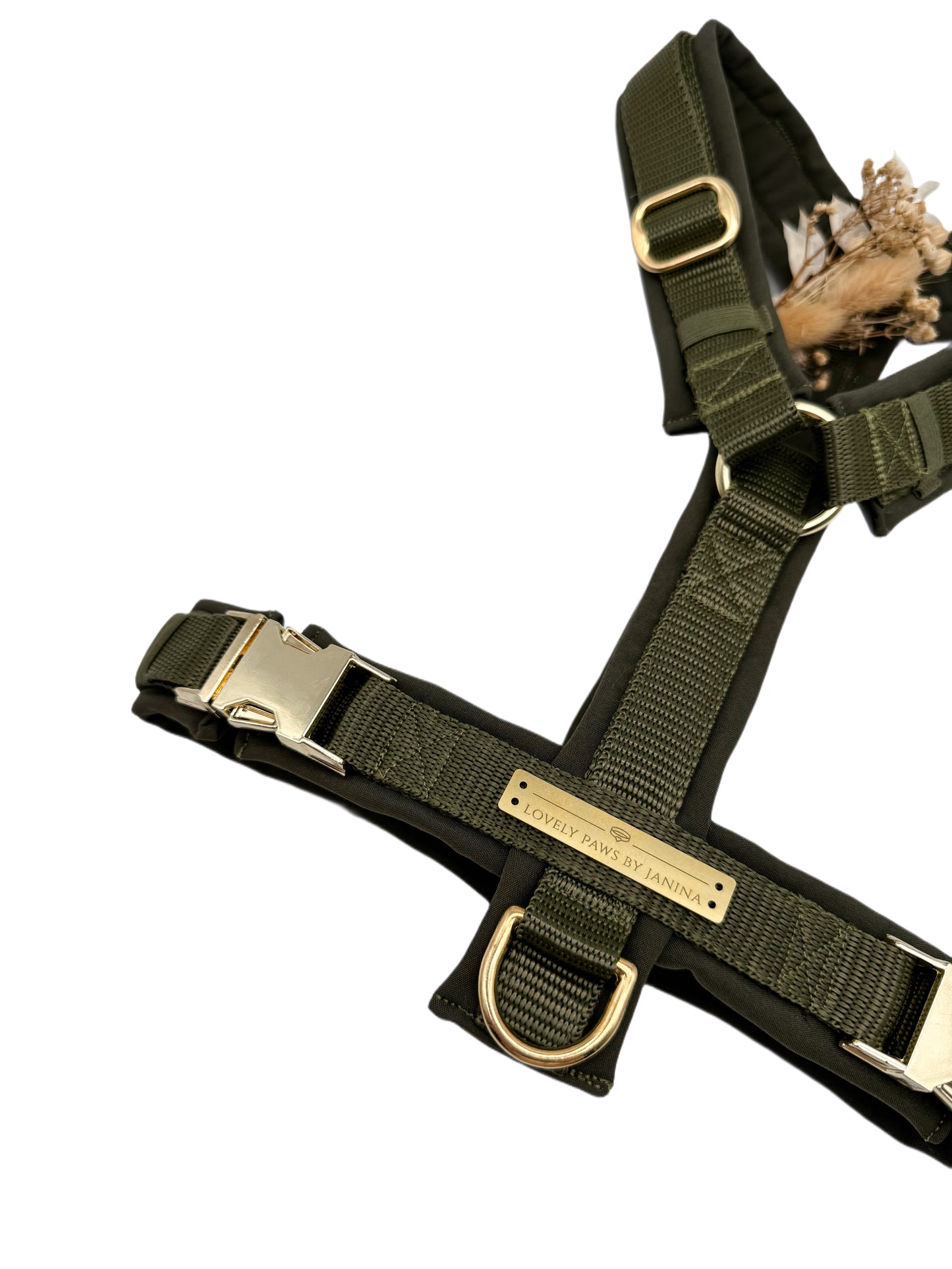Brustgeschirr OLIVE