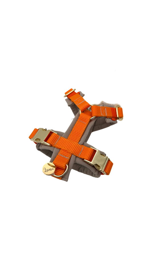 Brustgeschirr ORANGE BEIGE